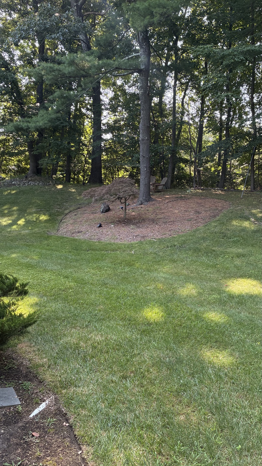 Tree & Shrub Planting by Sierra Irrigation & Landscaping in Rockland County, NY