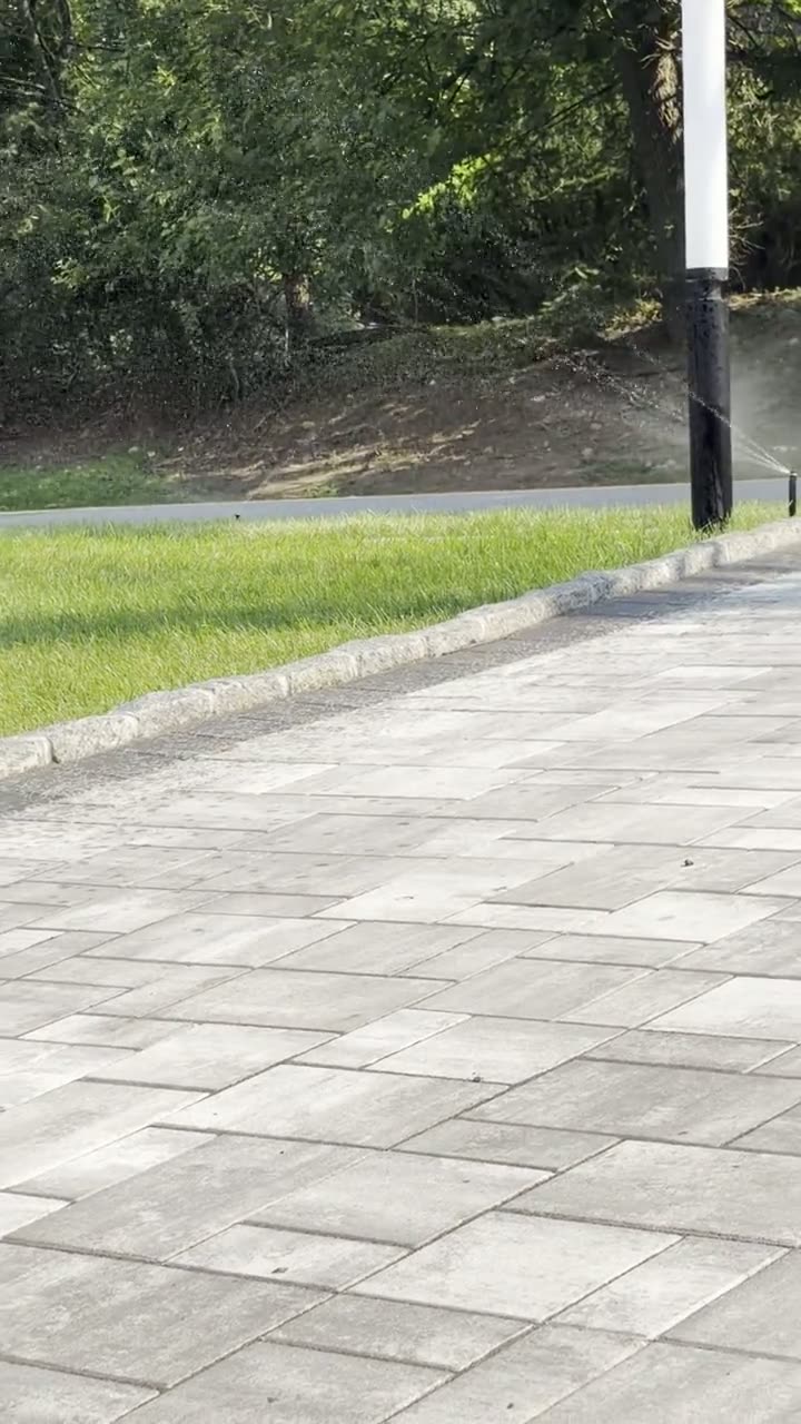 Lawn Maintenance by Sierra Irrigation & Landscaping in Rockland County, NY